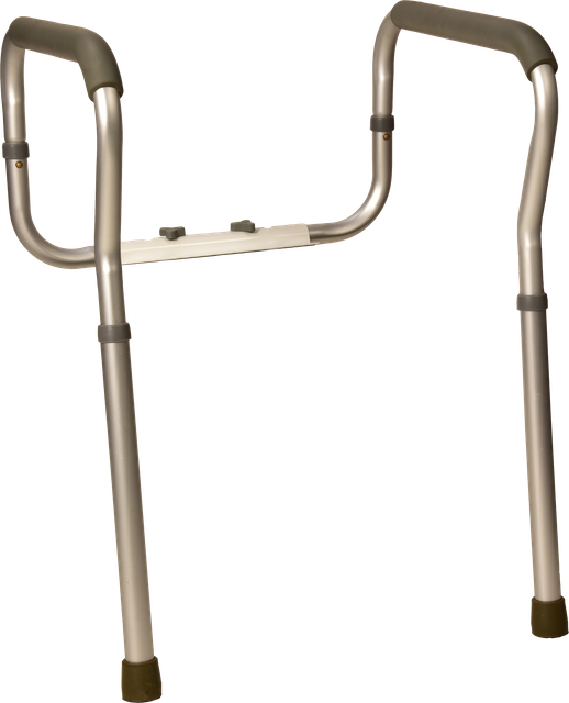 Tool-Free Toilet Safety Frame
