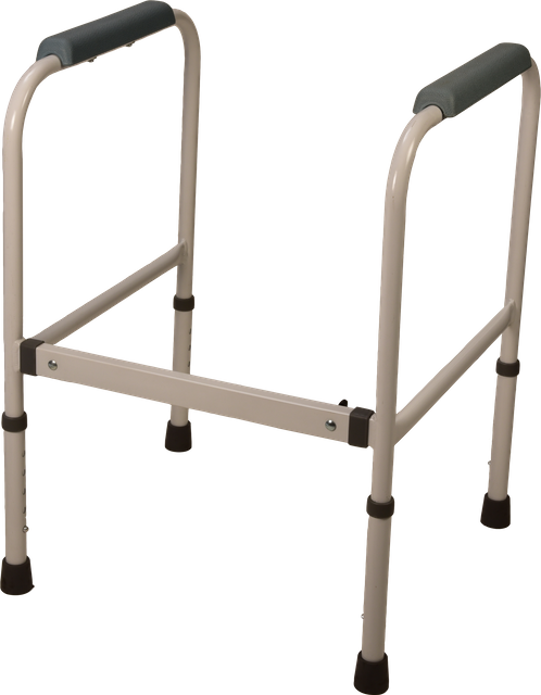 Self-Standing Toilet Safety Frame