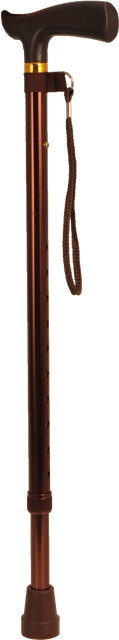 Anodized Straight Aluminum Cane