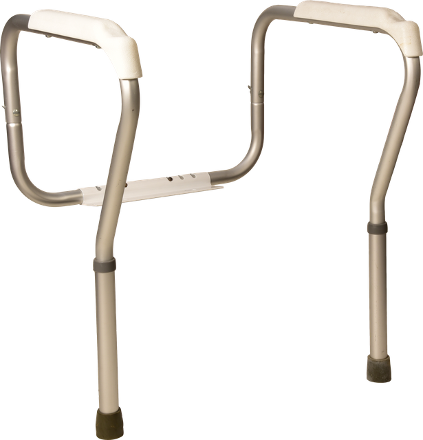 Toilet Safety Frame