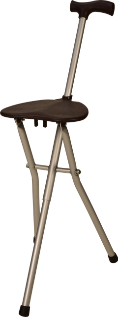 Small Convertible Tripod Seat Canes