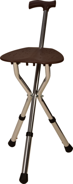 Large Convertible Tripod Seat Canes